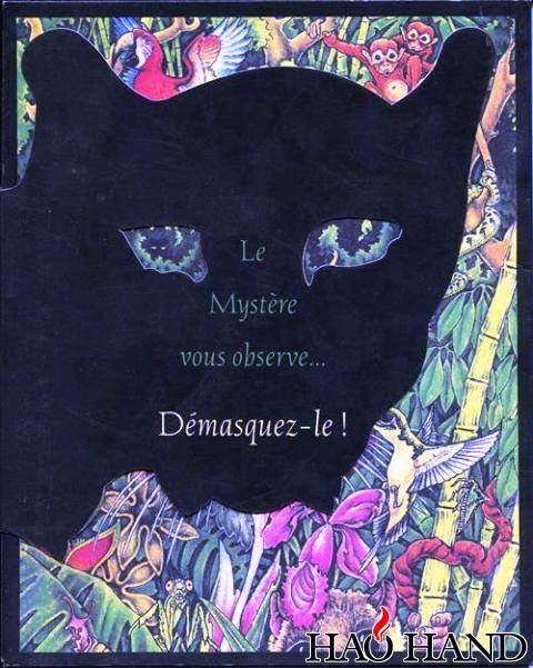 1995-Le-Mystere-vous-observe.jpg