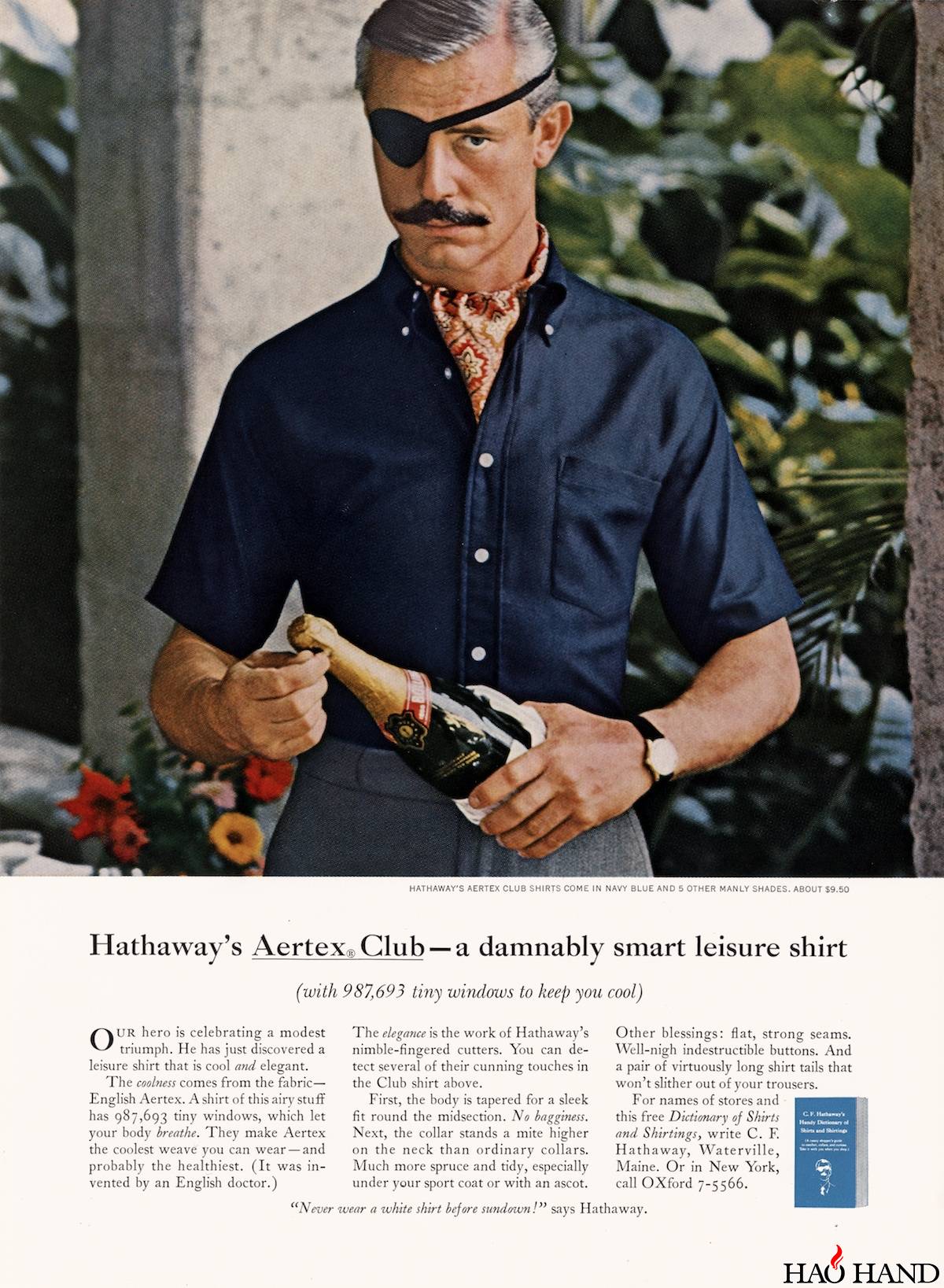 hathaway-shirt-ad-champagne.jpg