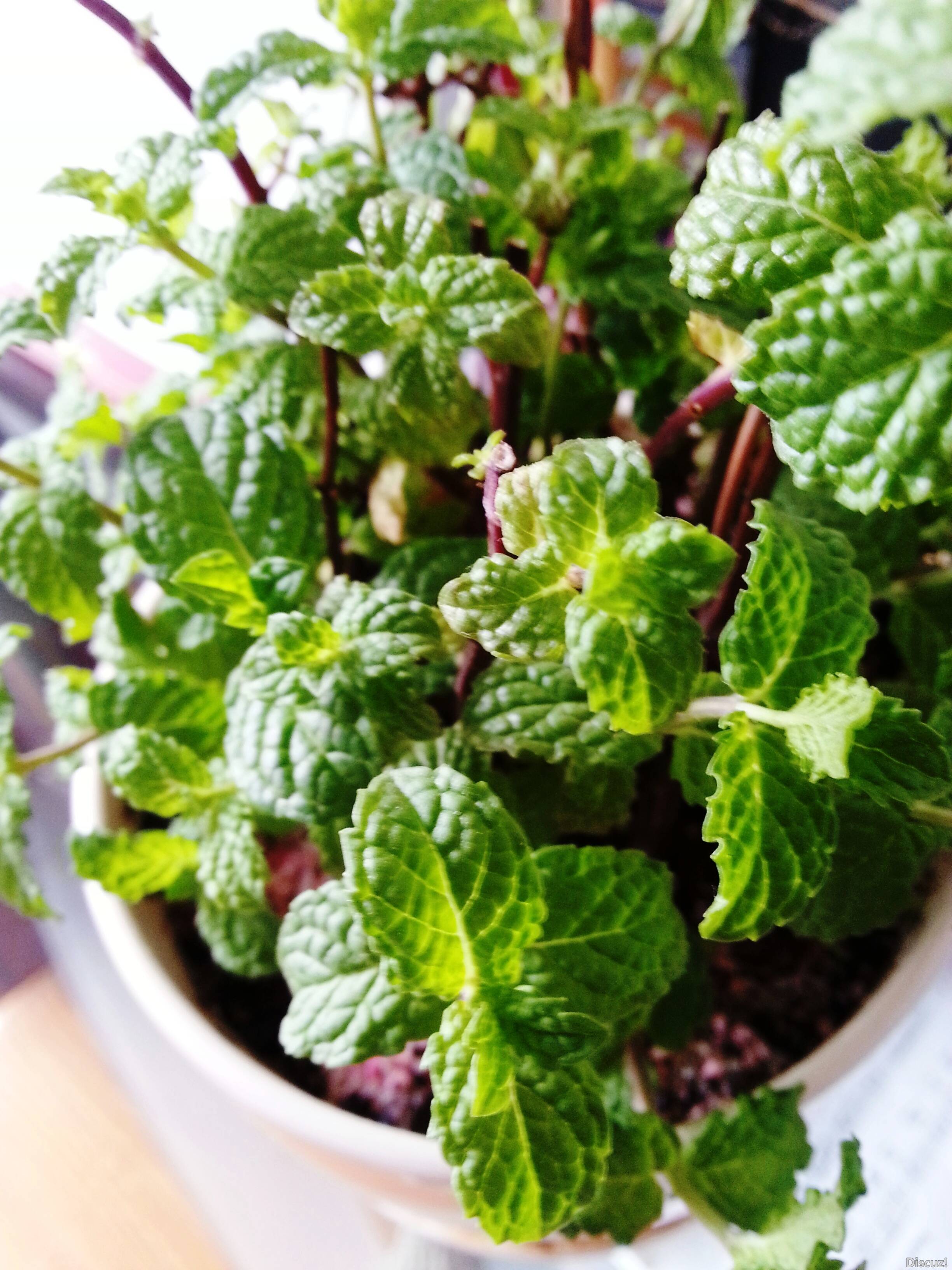 20150617_132818.jpg