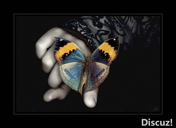 Butterfly_by_baljeet2506.jpg