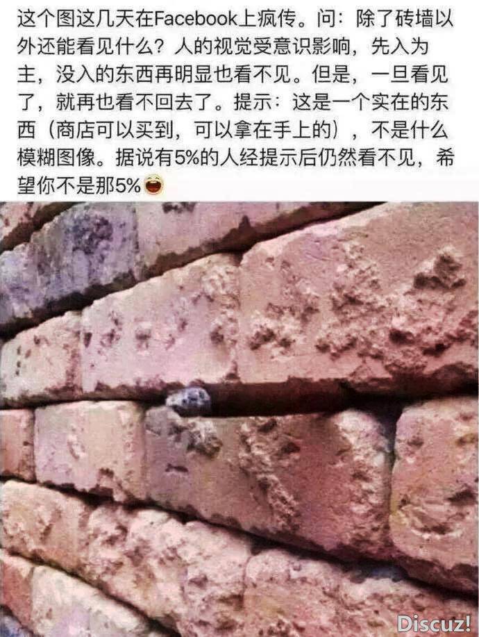 雪茄测试.jpg