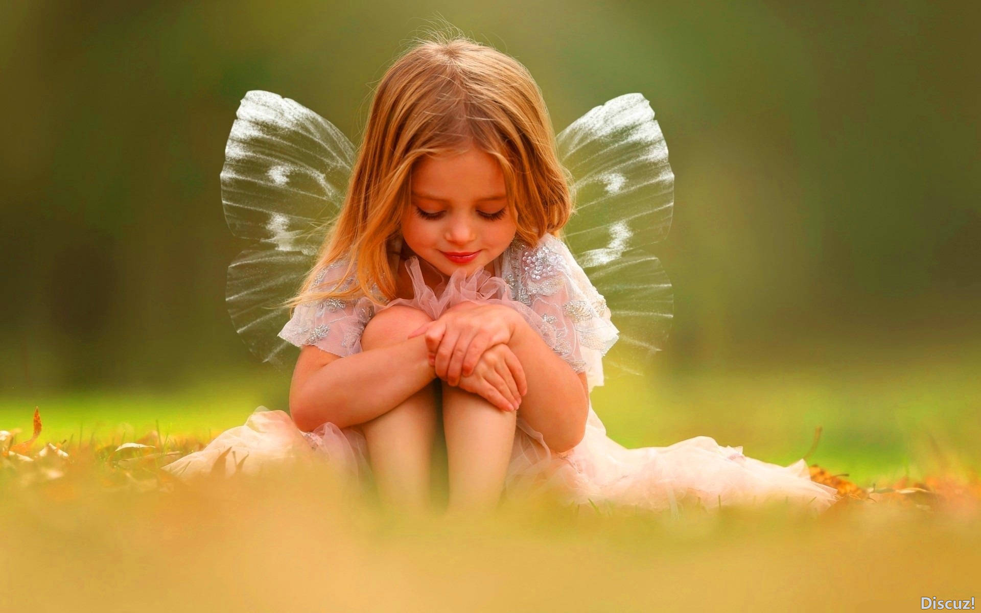 cute-baby-girl-butterfly-wings-4gmz8smau9thhui2.jpg