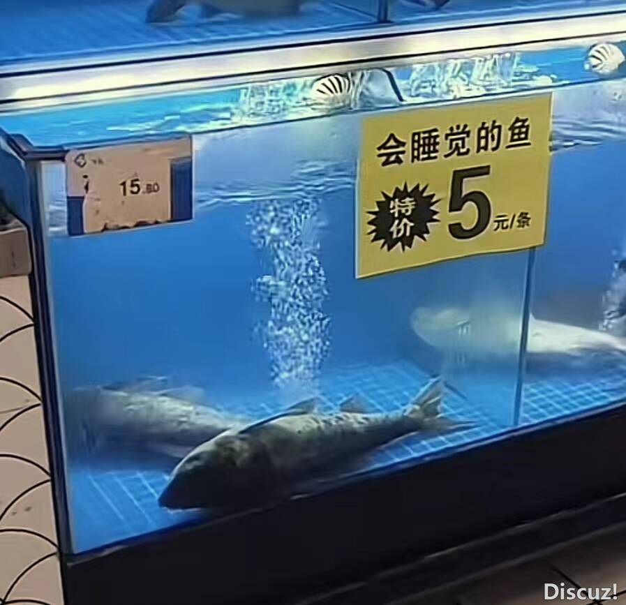微信图片_20240508200054.jpg