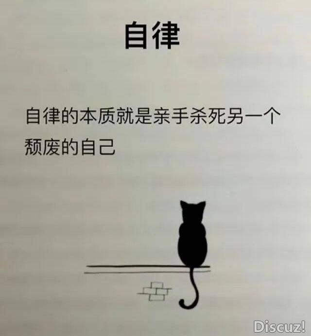 640 (127).jpg