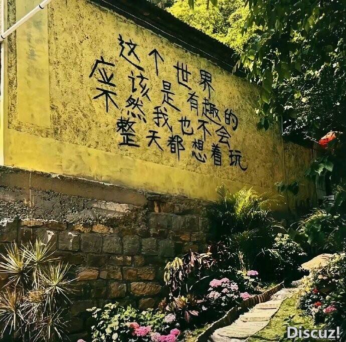 -87c682e47bba1490b6.jpg