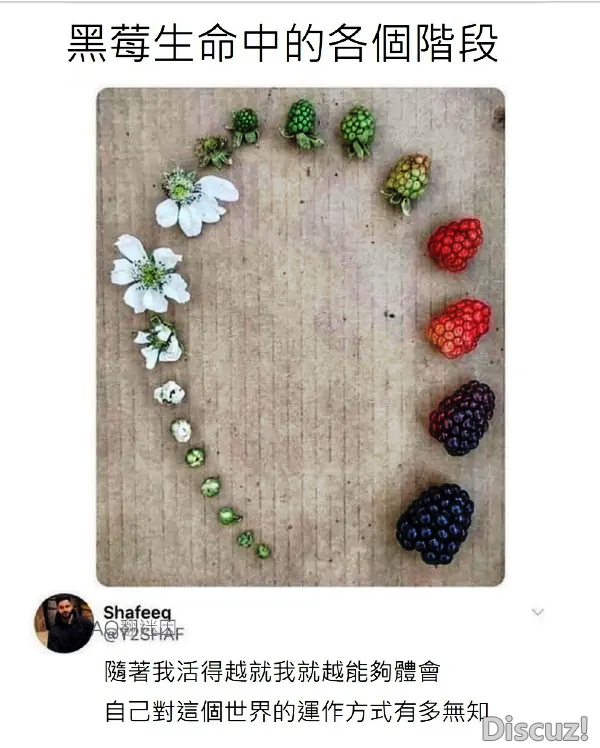 640 (8).png