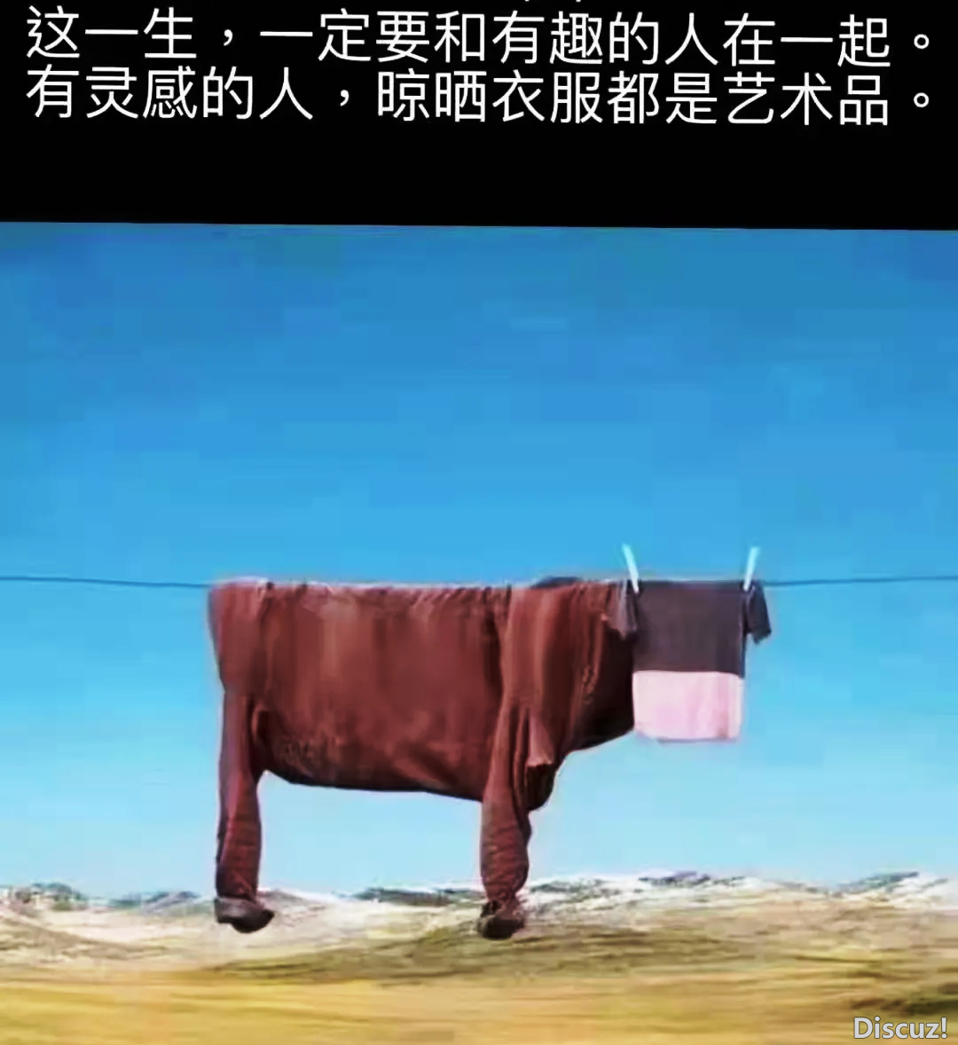 640.webp _4_.png