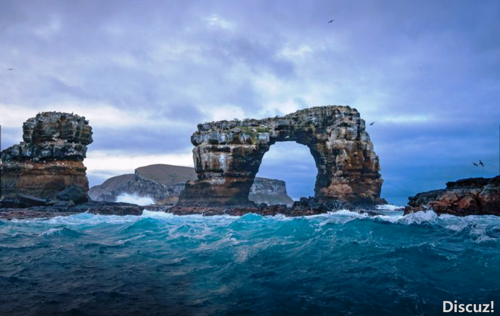 火狐截图_2024-12-25T10-41-26.636Z.png