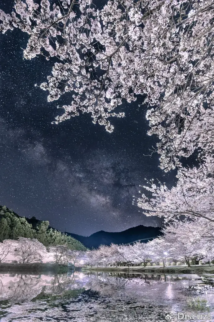 岛国摄影师在奈良拍摄到的满天星星下的樱花.webp