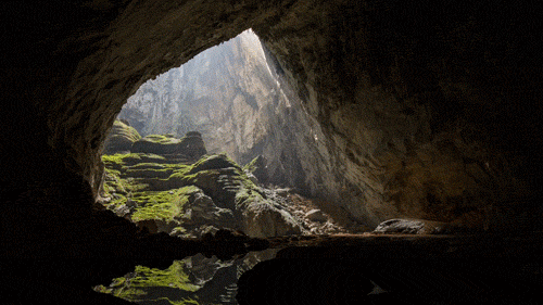 67d4fa512577c.gif