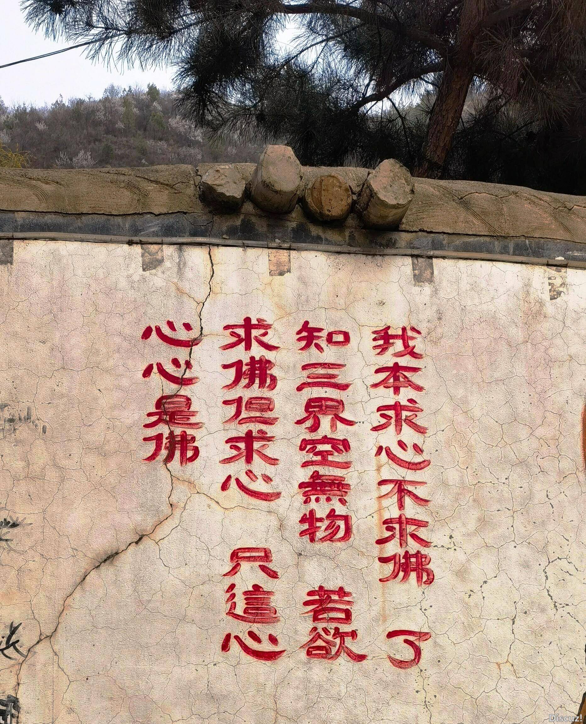 67f46c74ccb51.jpg