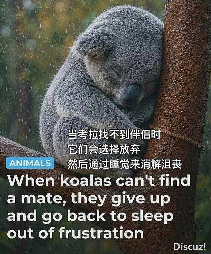 微信图片_2026-07-12_061600_150.jpg