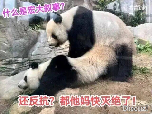 微信图片_20260903191826_211_17.jpg